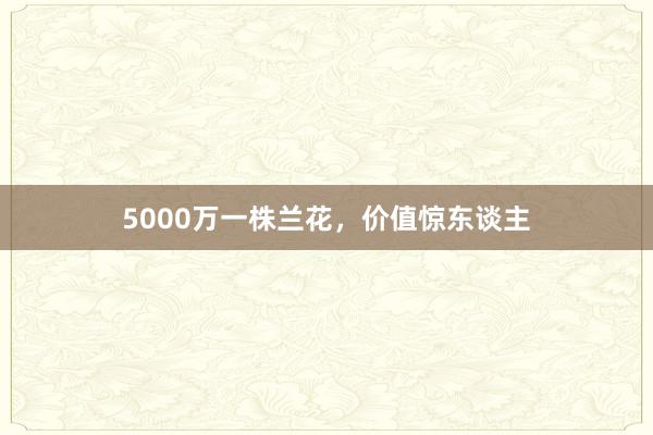 5000万一株兰花，价值惊东谈主