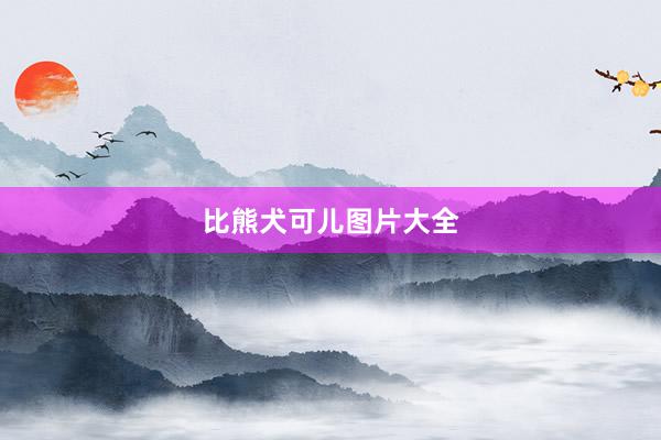 比熊犬可儿图片大全
