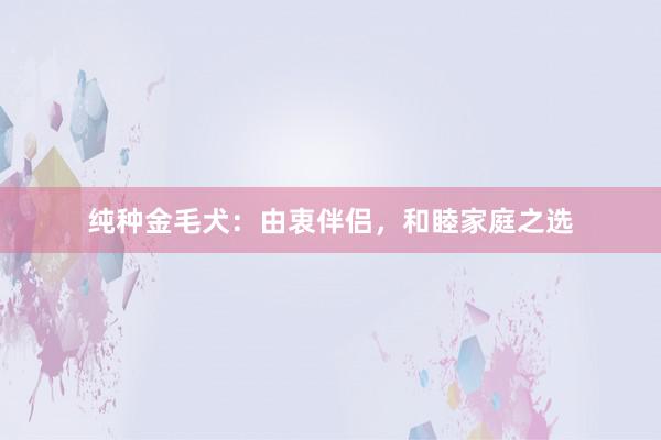纯种金毛犬：由衷伴侣，和睦家庭之选